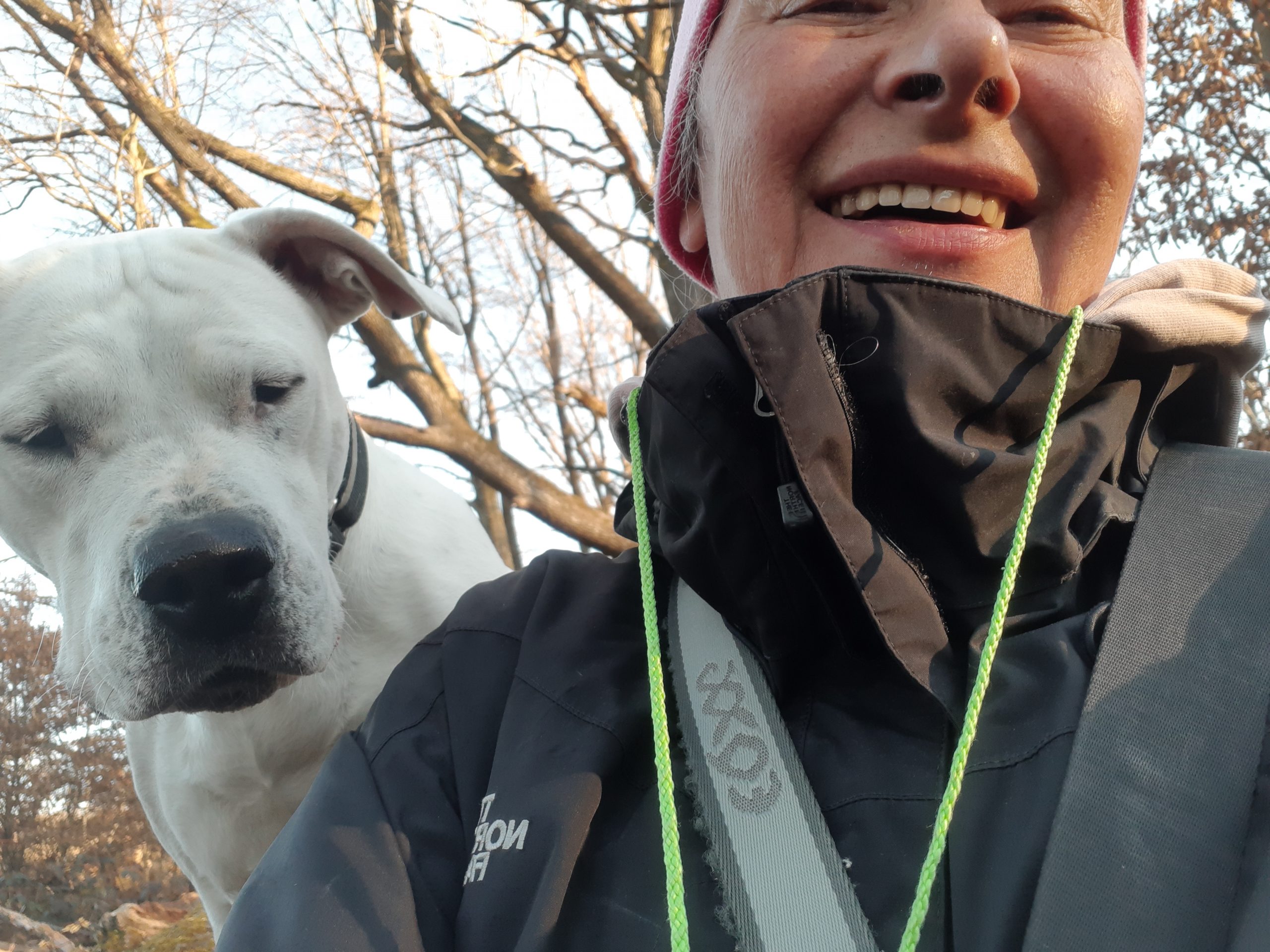 Hund sein in Wien DOGnews